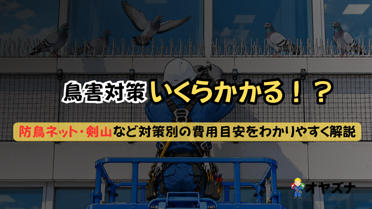 【2026年最新】鳥害対策の料金相場・費用目安を徹底解説
